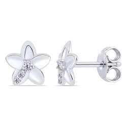 Cercei din argint cu Cubic Zirconia Incolor