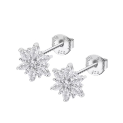 Cercei din argint  cu pietre Cubic Zirconia Incolor